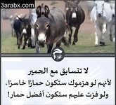 152926846_174644794422478_243485663408116501_n_٠٣٤٤٤٨.jpg